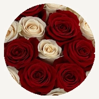 White & Red Mix