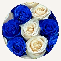 Blue & White Mix
